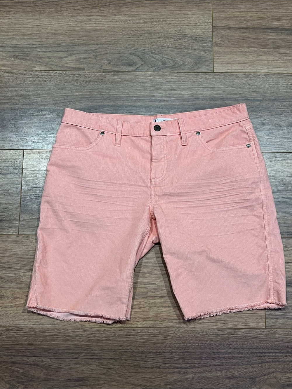 Carve Designs Oahu Corduroy 10” Shorts in Salmon Pink Size 10